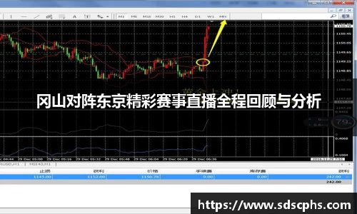 九游体育登录入口