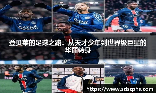 九游体育登录入口