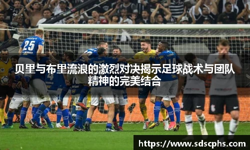 九游体育登录入口