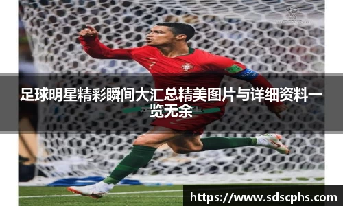 九游体育登录入口