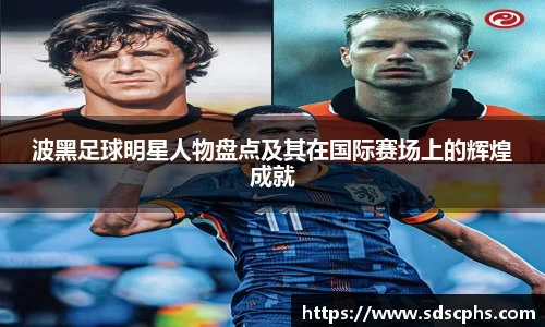 波黑足球明星人物盘点及其在国际赛场上的辉煌成就